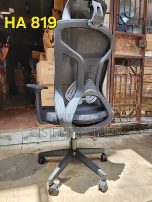 Office Chairs HA 819