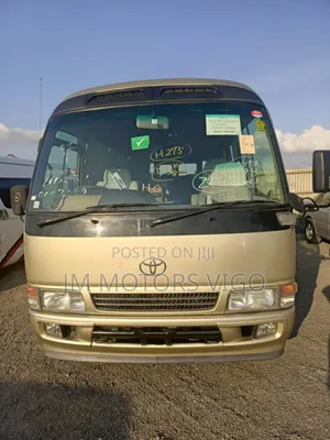 Toyota Coaster 2002 Beige