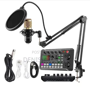 Bm 800 Microphone Condesor Set