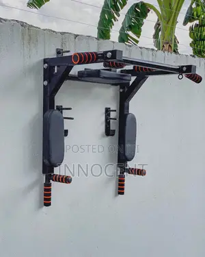 Pull Up Bar