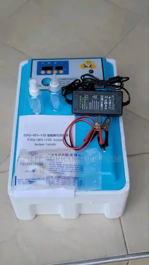 Incubator 30 Eggs Automatic