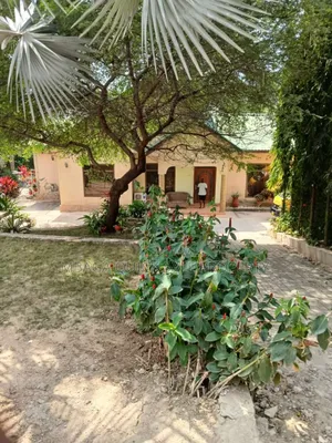 4bdrm House in Salasala Kilimahewa, Mbezi for rent