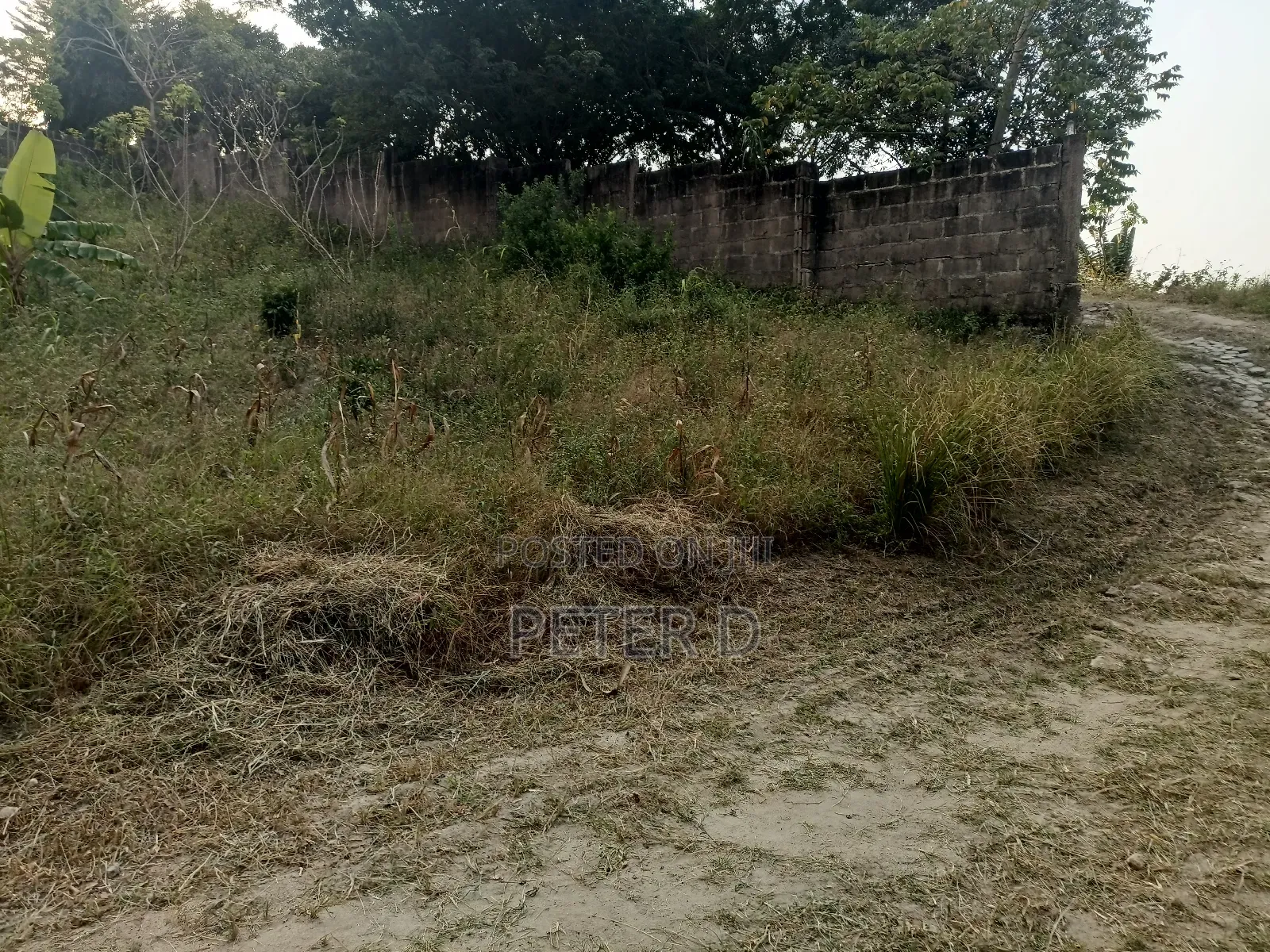 Kiwanja Gogoni