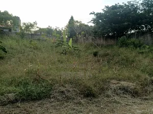 Kiwanja Gogoni