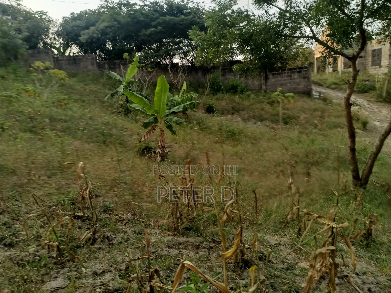 Kiwanja Gogoni