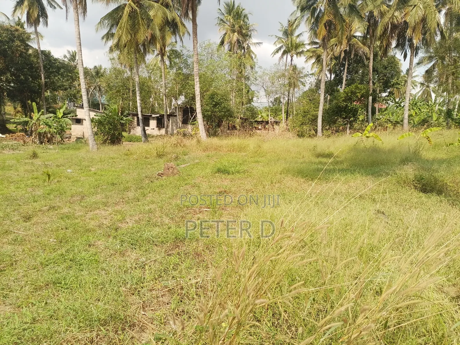 Kiwanja SQM 823