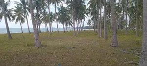 Beach Plot at South Beach Kigamboni