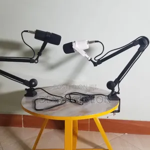 Dynamic Interview Microphone