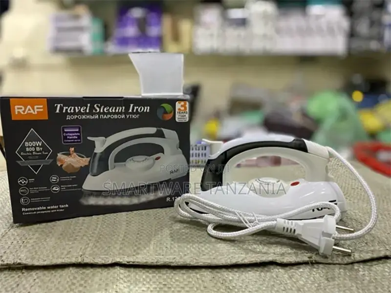 Flat Travel Steam Iron Temperature Control Dry Iron 700 W