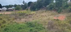 Kiwanja Cha Uwekezaji Mlandizi Morogoro Road