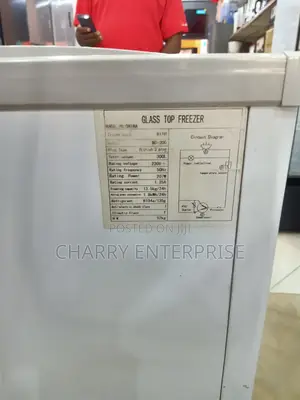 BISH Showcase Freezer Imara Yenye Powerful Compressor 300L