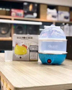 Double Layer Electric Egg Cooker, Poacher And Milk Boiler