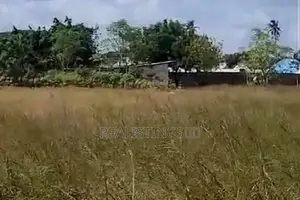 Kigamboni: 3 Acres Plot/Yard for Sale - Dar