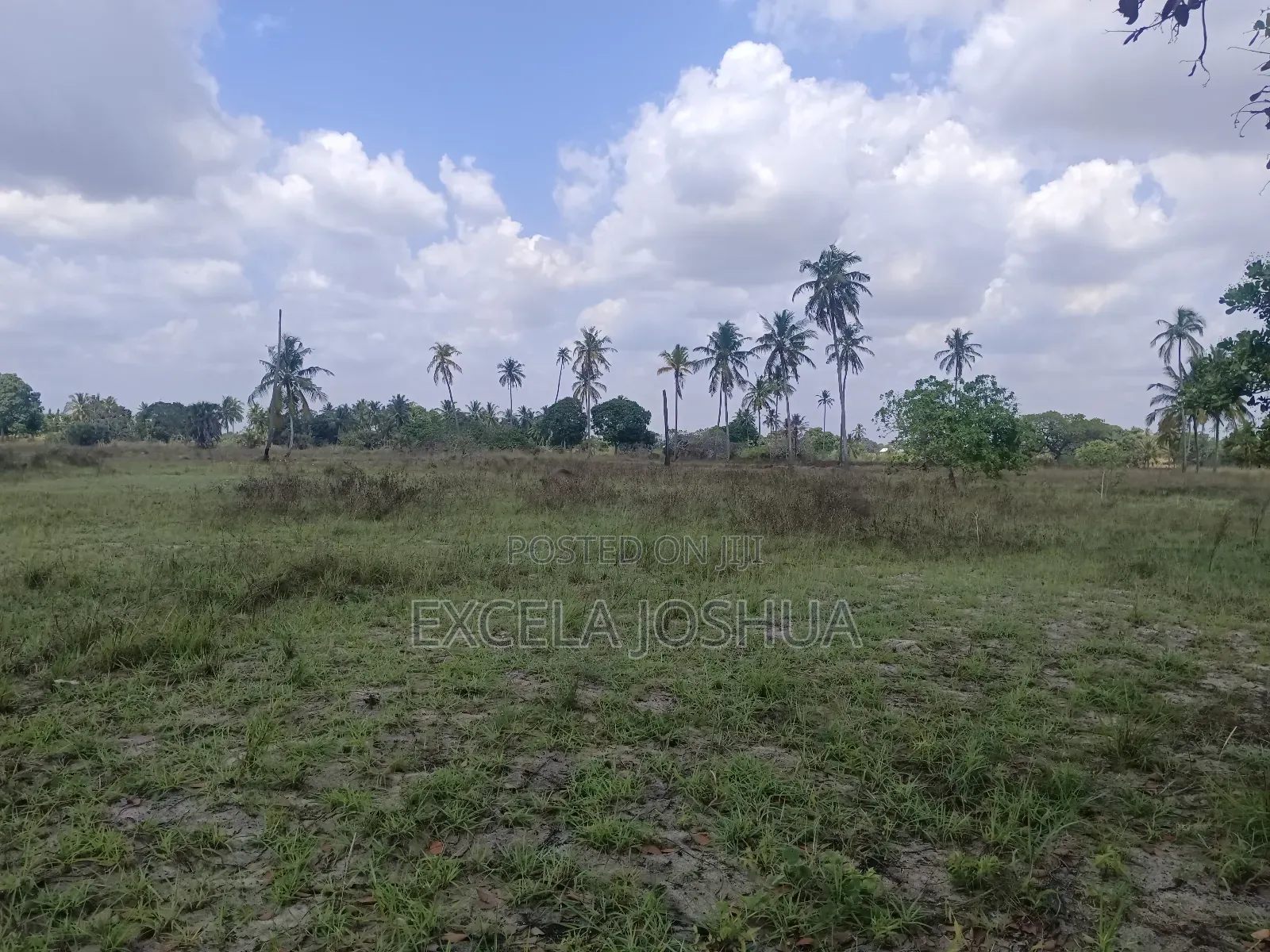 Shamba Linauzwa Bagamoyo Kitopeni Kwa Mashaka