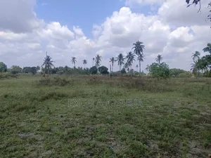 Shamba Linauzwa Bagamoyo Kitopeni Kwa Mashaka