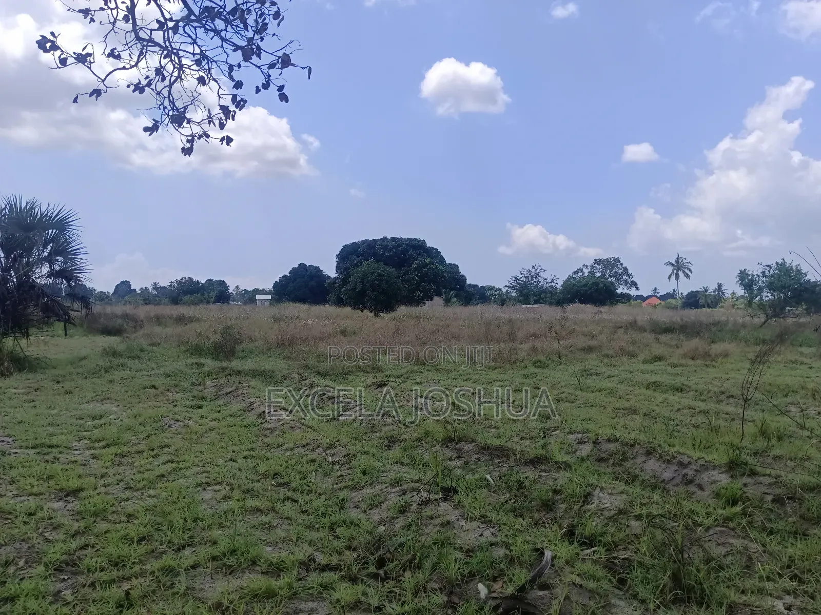 Shamba Linauzwa Bagamoyo Kitopeni Kwa Mashaka