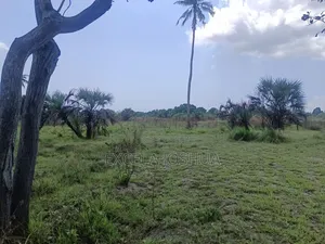 Shamba Linauzwa Bagamoyo Kitopeni Kwa Mashaka