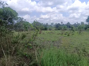 Shamba Linauzwa Bagamoyo Kitopeni Kwa Mashaka