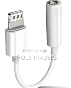 iPhone to Aux Adapter / Lightning to 3.5mm Headphone Jack
