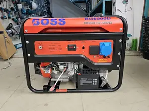 Boss Gasoline Generator
