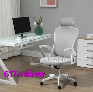 Ergonomic Chair