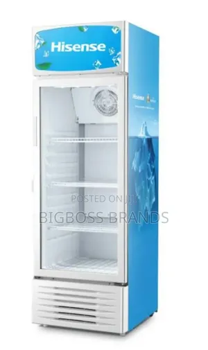 Hisense Showcase Fridge Liter 382