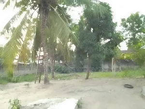 4bdrm House in Dalalipapaatzseven, Kinondoni for rent