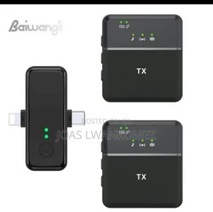 Wireless Microphone(3 In1).