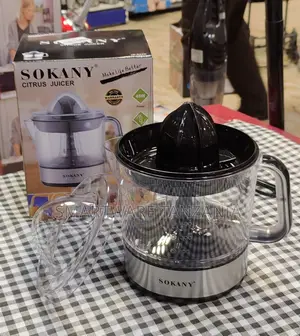 Compact Juicer Hand Juicer For Fruits And Vegetables