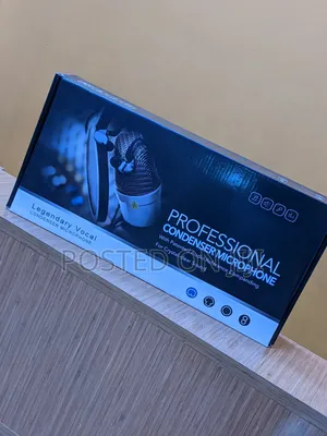 Professional Condenser Microphone