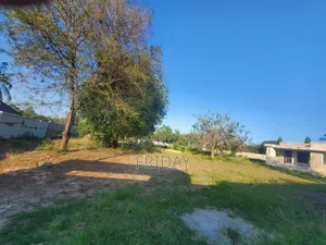 Eneo Linauzwa