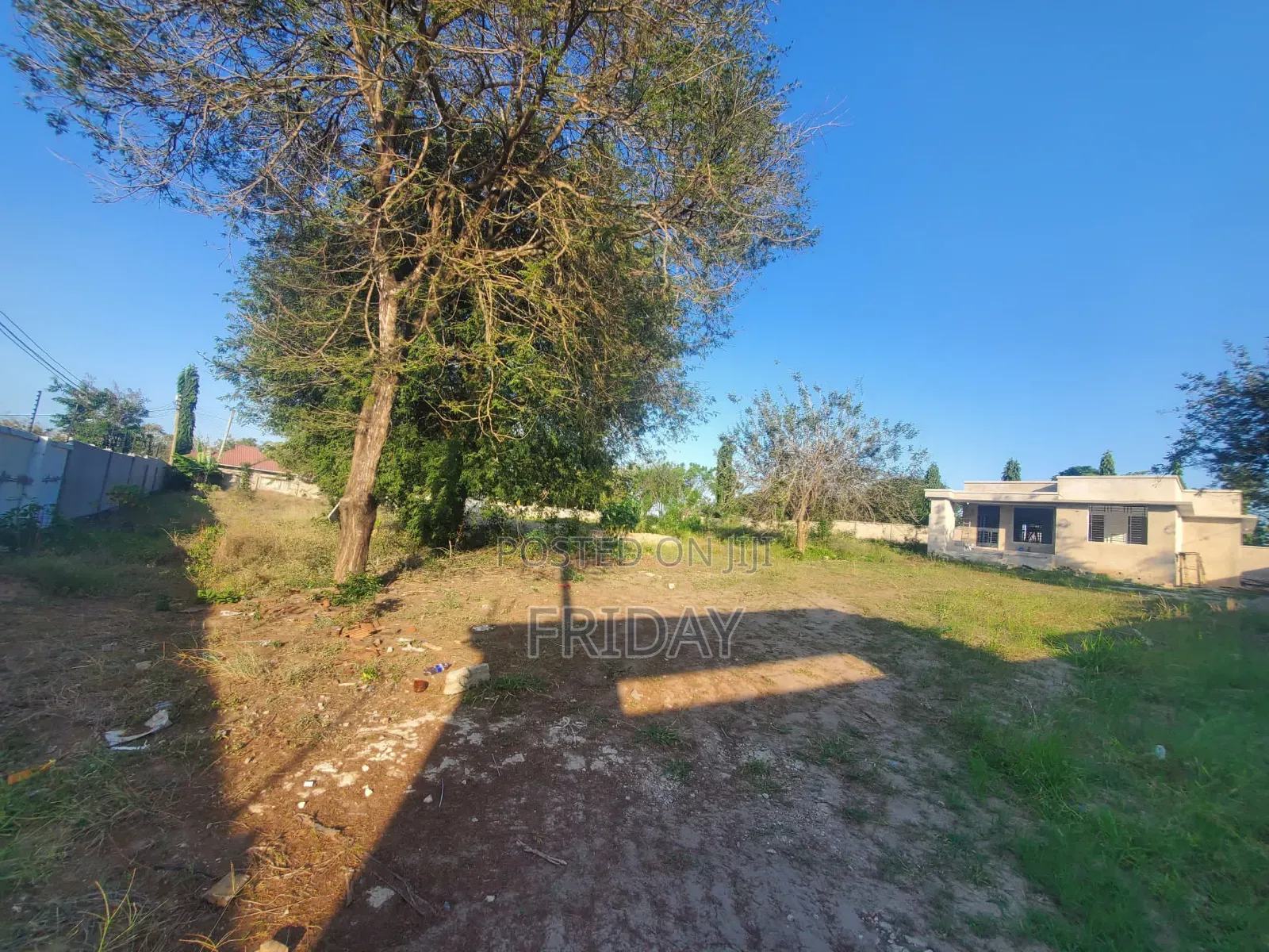 Eneo Linauzwa