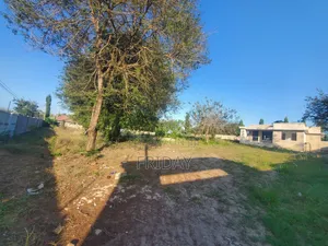 Eneo Linauzwa