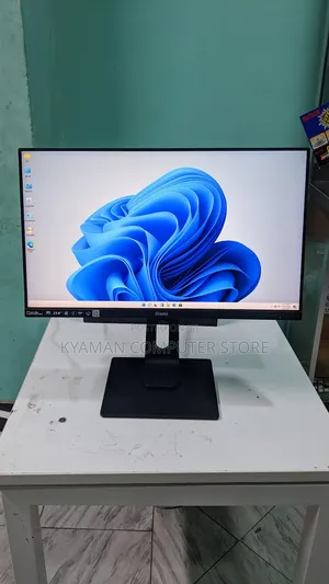 Iyama Monitor Fremless 24nch
