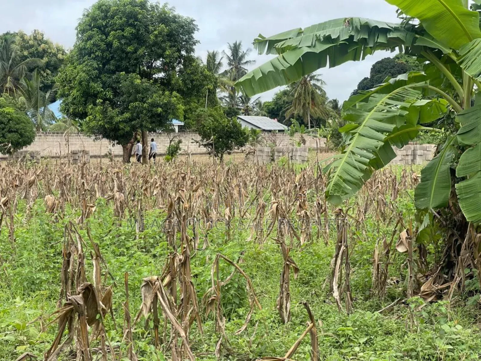 Plot for Sale at Kibaha Miembeni