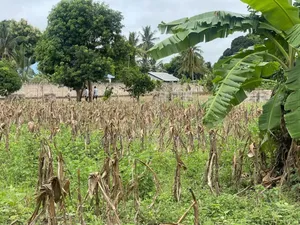 Plot for Sale at Kibaha Miembeni