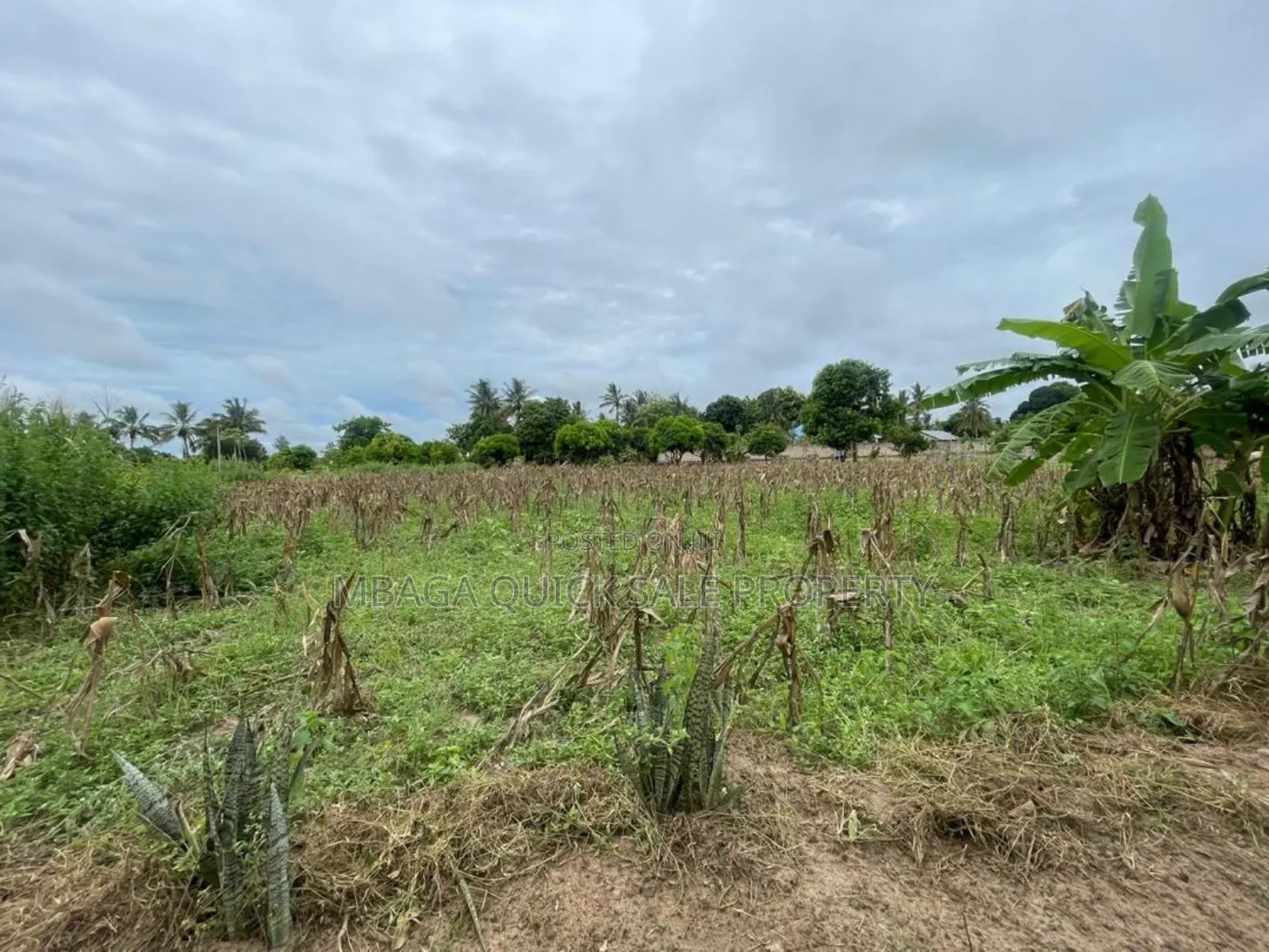 Plot for Sale at Kibaha Miembeni