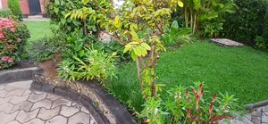 Furnished 2bdrm Apartment in Tanzania Realestates, Arusha for rent