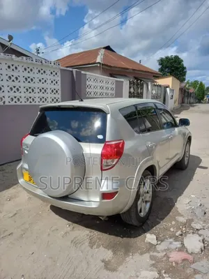 Toyota RAV4 2007 Silver
