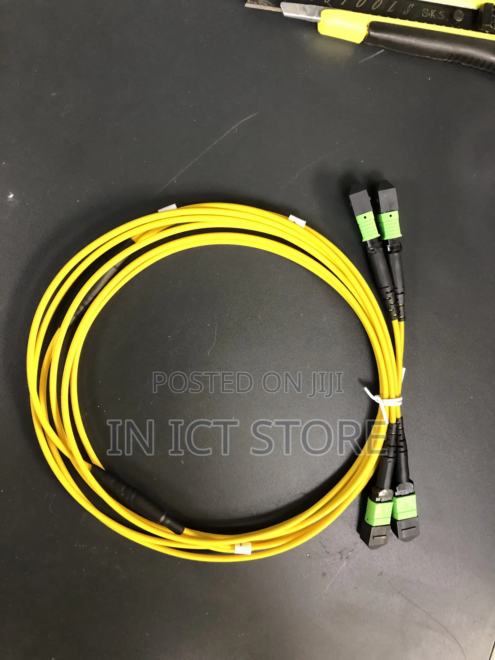 24 Fiber Mpo/Apc Standard Female to Female Custom Cable