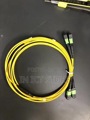 24 Fiber Mpo/Apc Standard Female to Female Custom Cable