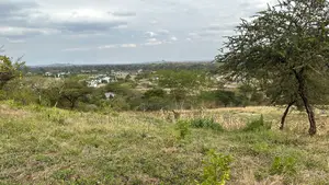 Prime Plot for Sale Burka Mlimani-Arusha