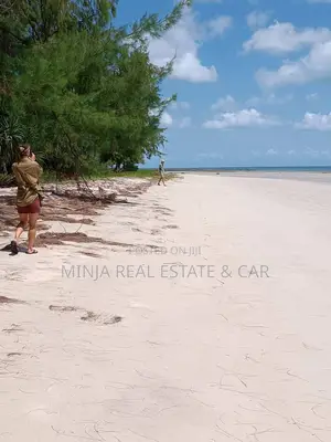 Beach Plot for Sale Banja Island in Mafia, Pwani