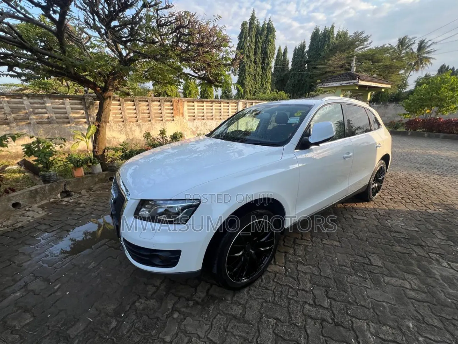 Audi Q5 2011 Off white