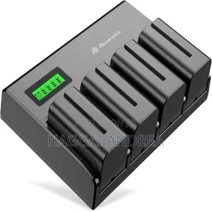 Sony NP F750 4 Battery Charger Meter