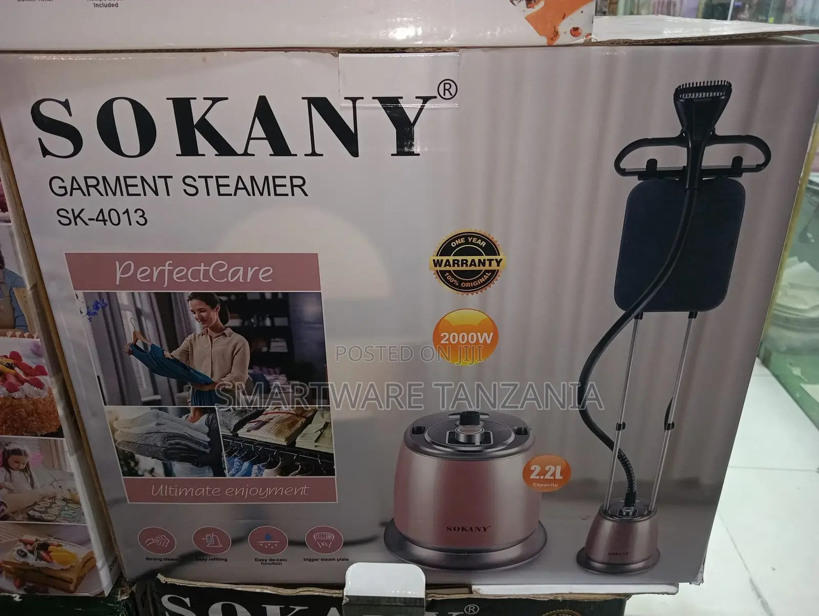 Professional Steamer Iron For Clothes - Clothes Steamer