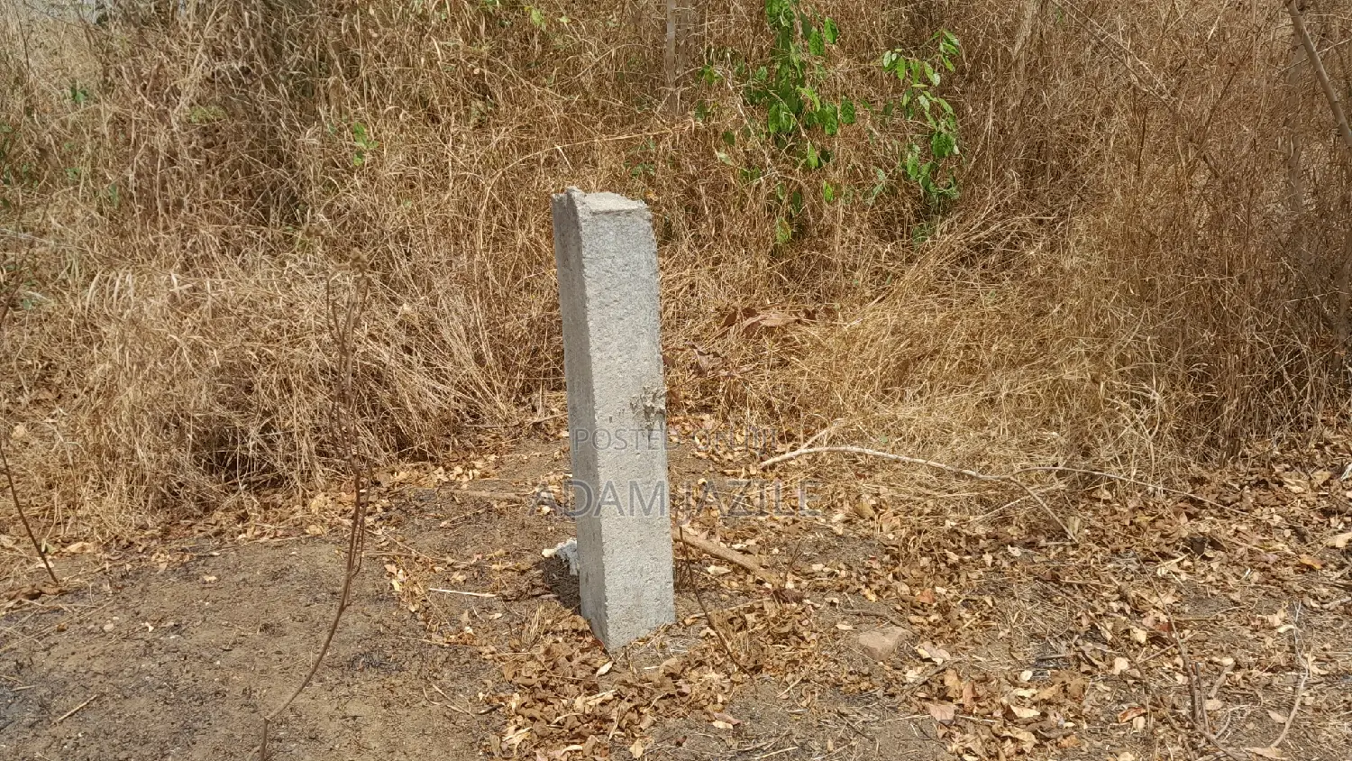 Shamba La Ekari 10 Linauzwa Kiwangwa Msinune