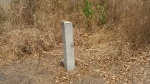 Shamba La Ekari 10 Linauzwa Kiwangwa Msinune