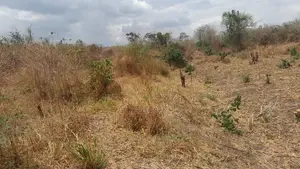 Shamba La Ekari 10 Linauzwa Kiwangwa Msinune