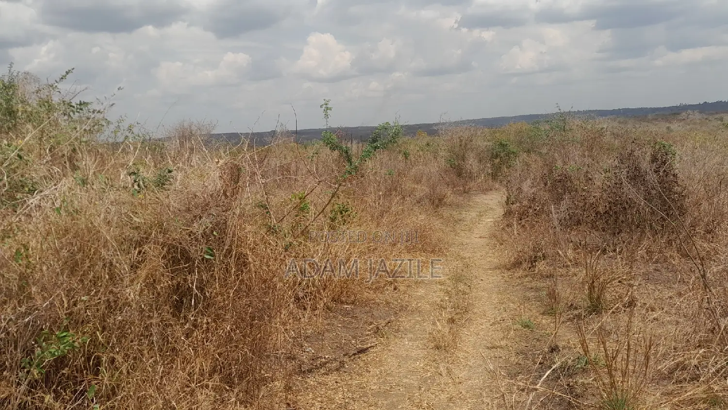Shamba La Ekari 10 Linauzwa Kiwangwa Msinune